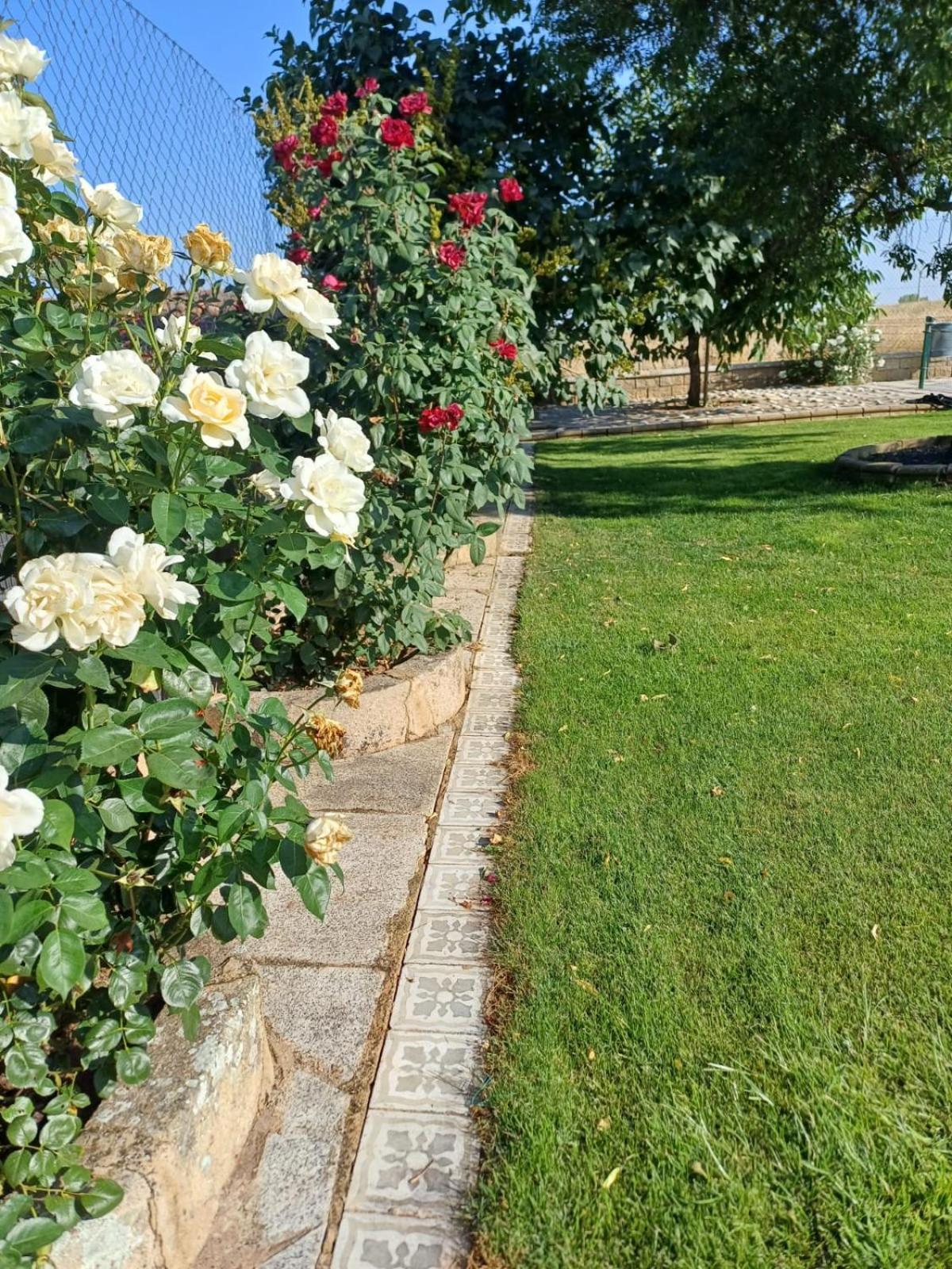 El Almendro Del Cura Villa Villarmayor  ภายนอก รูปภาพ