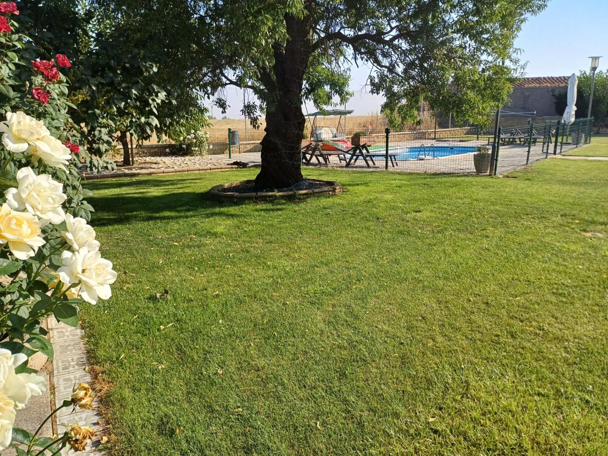 El Almendro Del Cura Villa Villarmayor  ภายนอก รูปภาพ