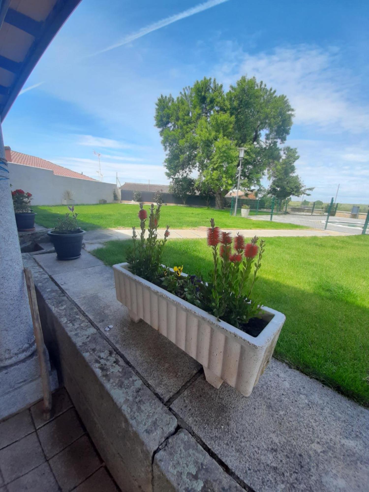 El Almendro Del Cura Villa Villarmayor  ภายนอก รูปภาพ